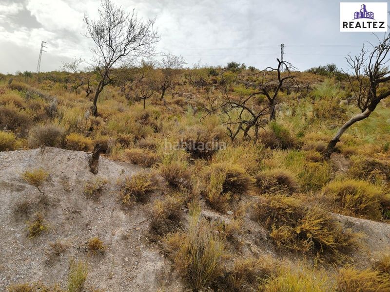 Foto f9f2210e-6ce3-48f9-b04b-d98ff90998d2. Finca rústica a Alcolea