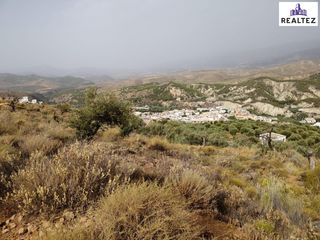 Finca rústica a Alcolea