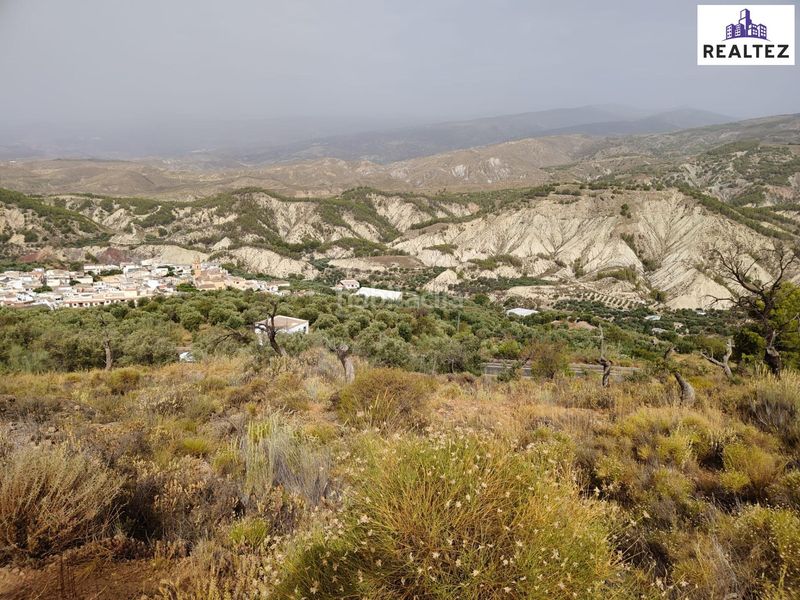 Foto 81202c86-00b2-426d-a818-7e416d496579. Finca rústica a Alcolea