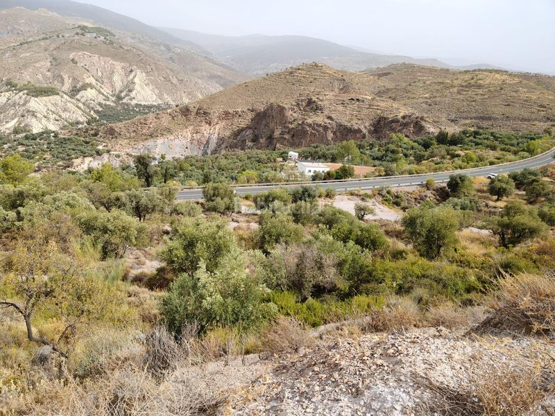Foto d58a0f52-f7d0-405f-a9d0-ba4cd9333f22. Finca rústica a Alcolea