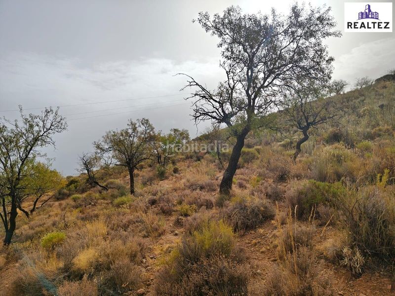 Foto aadf7c45-8ca5-4801-9a0f-fb4bf6372908. Finca rústica a Alcolea