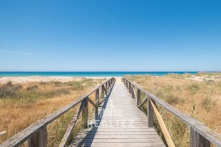 Casa en El Palmar. El palmar. vivienda con parcela  y gran potencial tur�stico