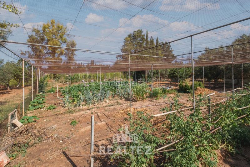 Foto 177613c9-1ec3-40d2-b992-85eaa194cf8c. Finca rústica a Parque Atlántico - Ronda este Jerez de la Frontera