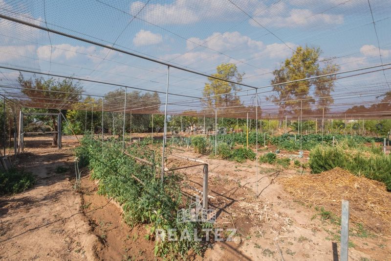 Foto 7e75cb10-8439-449f-86df-85f4a2150775. Finca rústica a Parque Atlántico - Ronda este Jerez de la Frontera