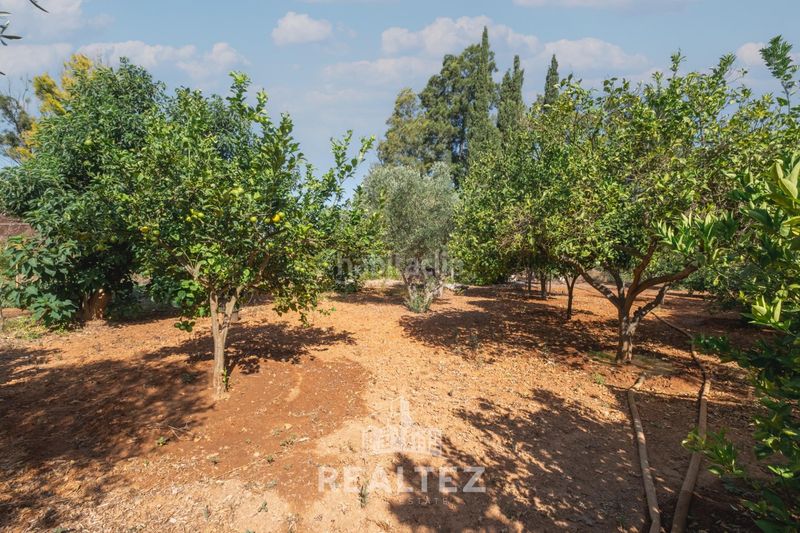 Foto c93a4b77-2ef6-4dd3-89b4-cbcb2d7a4da6. Finca rústica a Parque Atlántico - Ronda este Jerez de la Frontera