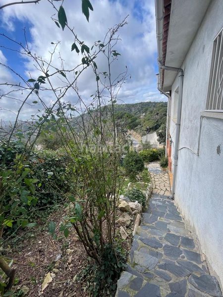 Foto 014140d7-c9e6-4fb6-94d2-2cdf22b183de. Casa a Can Massuet del Far Dosrius