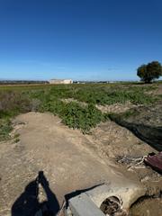 Finca rústica a Chipiona Norte. Parcela rustica con vistas a la playa, buena entrada