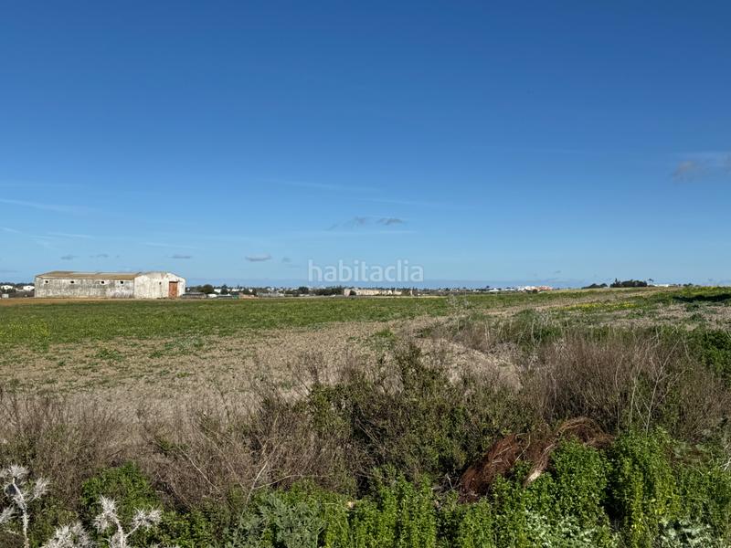 Foto c7095266-b969-4d0f-9dfb-357572e9eb10. Fondo rustico in Chipiona norte Chipiona