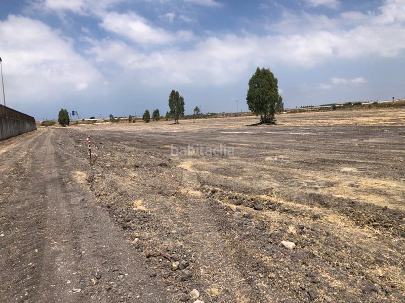 Foto 01d9f302-4ab2-41dd-b70b-5927f0305330. Fondo rustico in calle miguel servet 20 in Ctra Jerez-Ctra del Puerto Sanlúcar de Barrameda