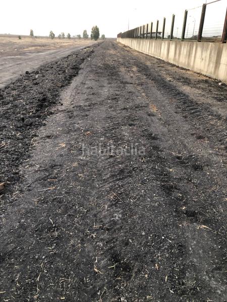 Foto 321d3855-a874-494f-ae6c-3c7dd5ae682d. Fondo rustico in calle miguel servet 20 in Ctra Jerez-Ctra del Puerto Sanlúcar de Barrameda