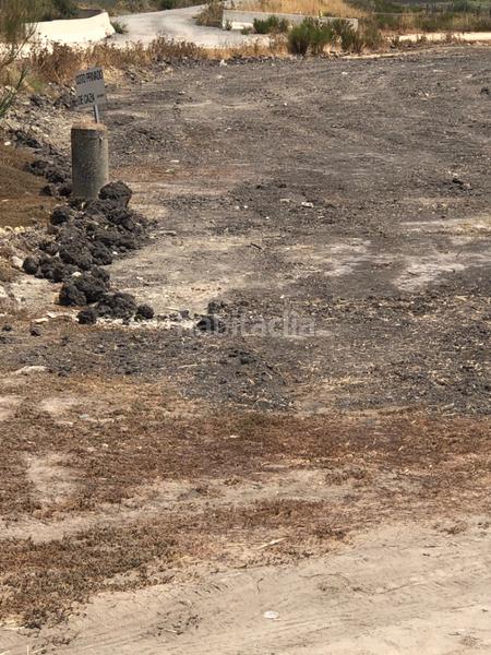 Foto 33d8c051-3e96-4e6a-9f11-aa5c7d9b1b9e. Fondo rustico in calle miguel servet 20 in Ctra Jerez-Ctra del Puerto Sanlúcar de Barrameda