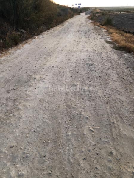 Foto 46283d52-59b1-4fca-85a0-2ae6f60fff4c. Fondo rustico in calle miguel servet 20 in Ctra Jerez-Ctra del Puerto Sanlúcar de Barrameda