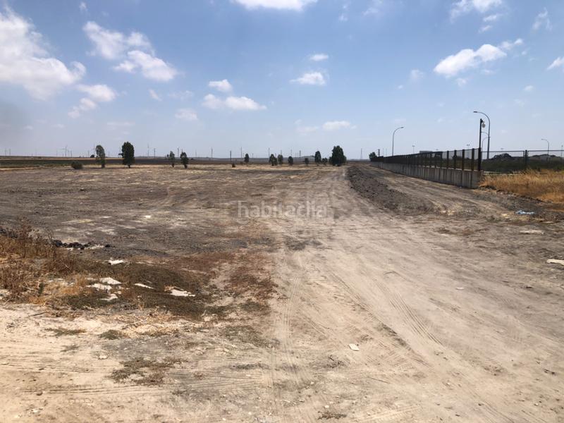 Foto 774e722a-fd8b-4f18-9fbd-99a9f107a028. Fondo rustico in calle miguel servet 20 in Ctra Jerez-Ctra del Puerto Sanlúcar de Barrameda