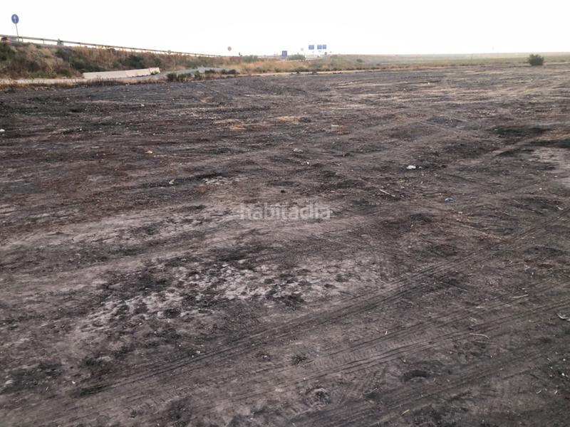 Foto b5b976db-0d28-4dc9-9b7e-8844107eb74e. Fondo rustico in calle miguel servet 20 in Ctra Jerez-Ctra del Puerto Sanlúcar de Barrameda