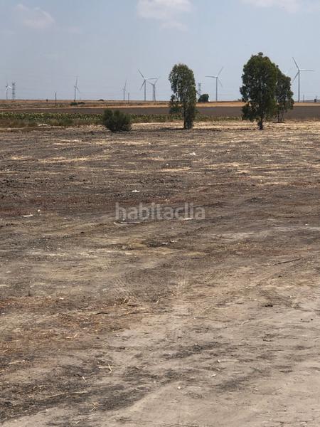 Foto c2710a29-b6a9-48a3-8ac1-edc7d28427c7. Fondo rustico in calle miguel servet 20 in Ctra Jerez-Ctra del Puerto Sanlúcar de Barrameda