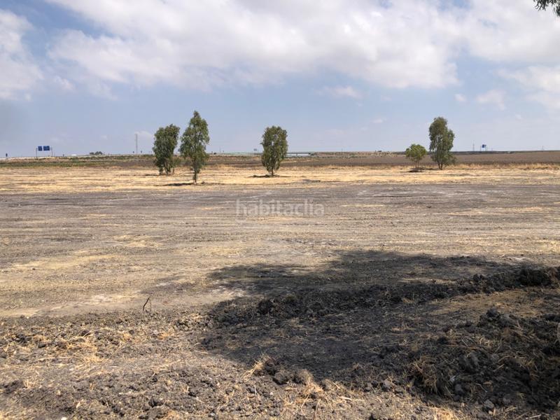 Foto c6a37205-cd6b-4e71-9fdb-eb705cafb9a3. Fondo rustico in calle miguel servet 20 in Ctra Jerez-Ctra del Puerto Sanlúcar de Barrameda