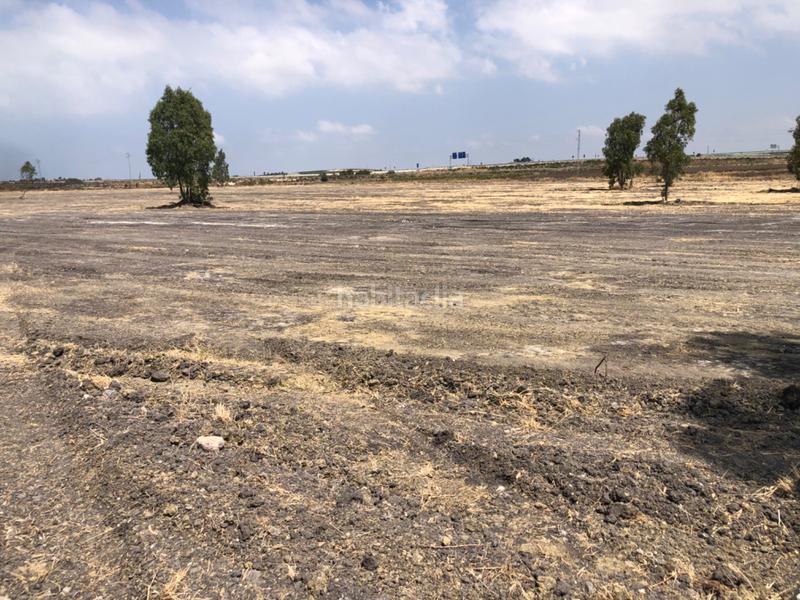 Foto ca7a0e9c-b8bf-496a-b284-010ceea923dd. Fondo rustico in calle miguel servet 20 in Ctra Jerez-Ctra del Puerto Sanlúcar de Barrameda