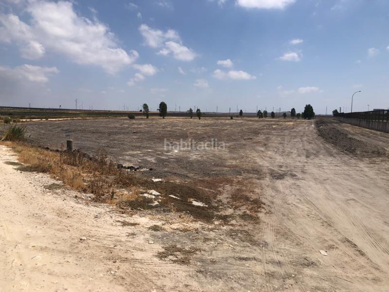 Foto e1186909-c52c-4512-9a03-ae0fbb8694bd. Fondo rustico in calle miguel servet 20 in Ctra Jerez-Ctra del Puerto Sanlúcar de Barrameda