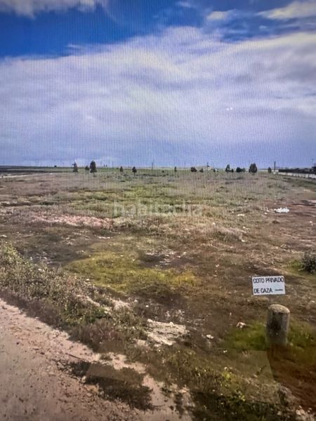 Foto 7a2f839f-d5a1-43f8-8c11-ba66d2a8475b. Finca rústica a n/a a Ctra Jerez-Ctra del Puerto Sanlúcar de Barrameda
