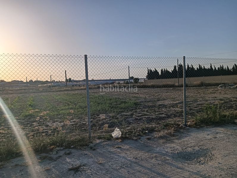 Foto b710a762-6515-4274-81c3-abe0cb662096. Finca rústica a Chipiona norte Chipiona