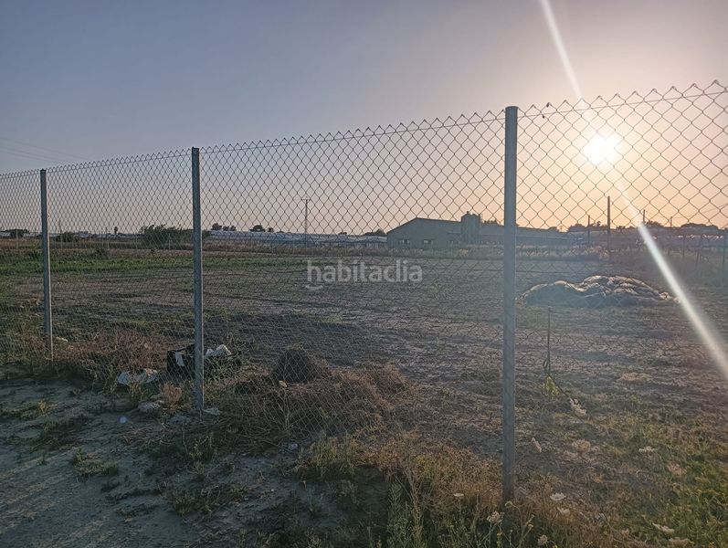 Foto f524bc00-2565-4a43-8e17-fb55473b1332. Finca rústica a Chipiona norte Chipiona