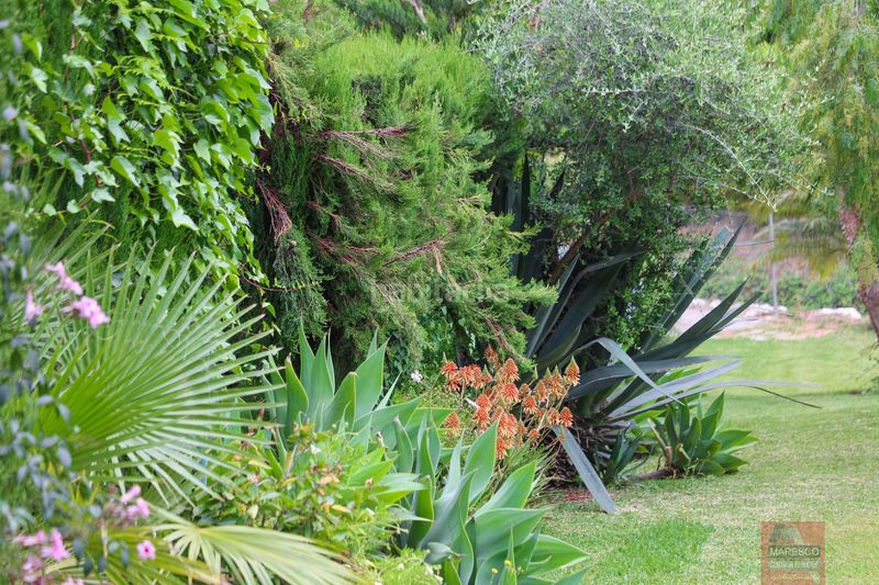 Foto 2053ea89-3500-4bf6-b709-fbe702417927. Casa adossada amb aparcament piscina a campo de Mijas Mijas