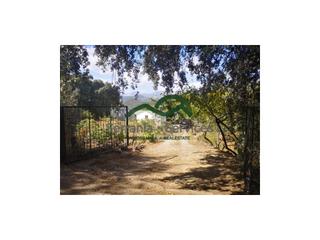 Casa en Faraján. Finca 4 has, nave, cuadras, vistas