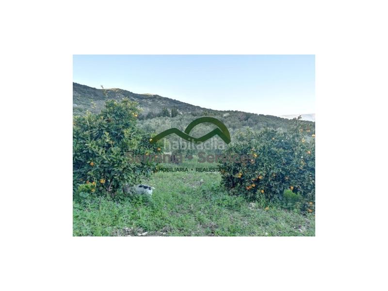 Foto 079329e1-dd21-4bcd-b066-a12dc1ca5b08. Masia a Zahara