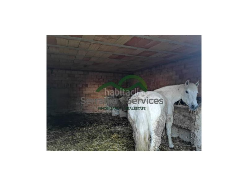 Foto 542c78ef-39ec-40a1-a253-2b1dd2113d89. Masia a Zahara