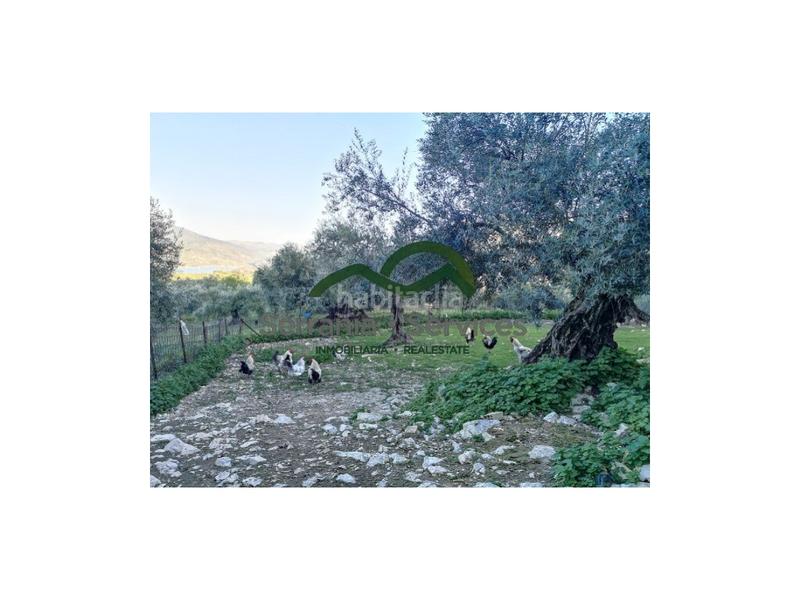 Foto d62e0ba7-18ef-4120-a647-b37877517ad8. Masia a Zahara