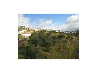Casa a Centro. Parcela 11.000m2, huerto, viñas y olivos