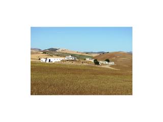 Casa a Villamartín. Cortijo ecuestre, 100 h, casa, casita, cortijo