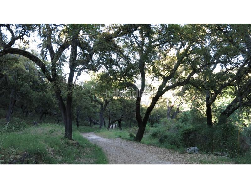 Foto 56aba7f8-62cc-4fe0-9321-1ac81fb79fde. Casa a Montejaque