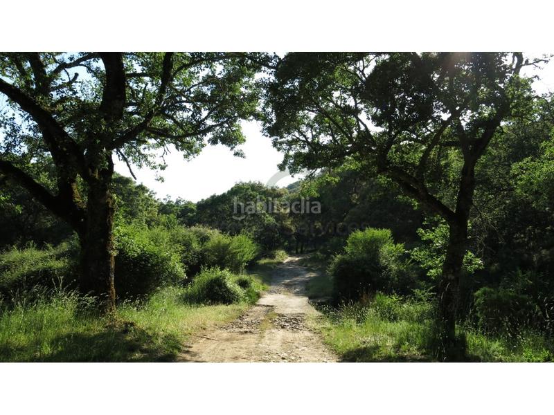 Foto 91072020-dcf9-4465-89ad-f85ef81e8763. Casa a Montejaque