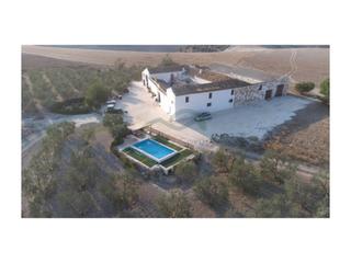 Masia a Morón de la Frontera. Cortijo 900 m2, 11 has, piscina, olivos
