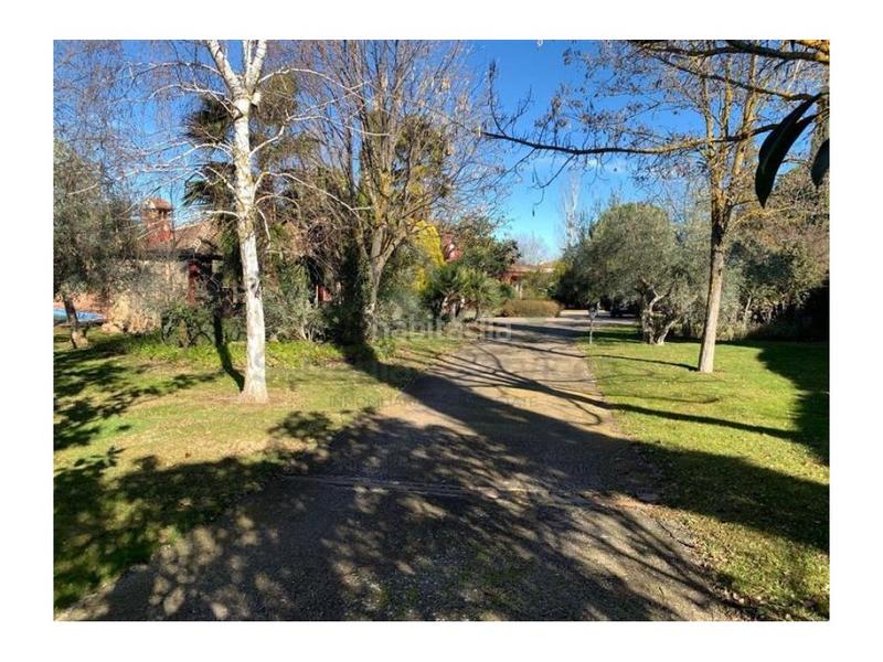 Foto acbae802-3967-4863-a6ca-6aad1c2e0b4e. Mas dans Centro Ronda