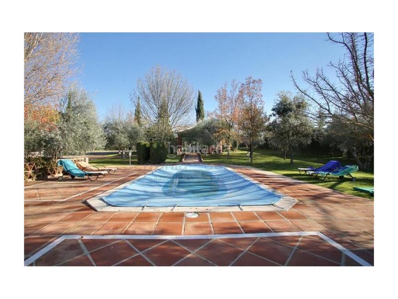 Foto efeeb55f-9951-4726-930f-3e91acdd5c03. Mas dans Centro Ronda