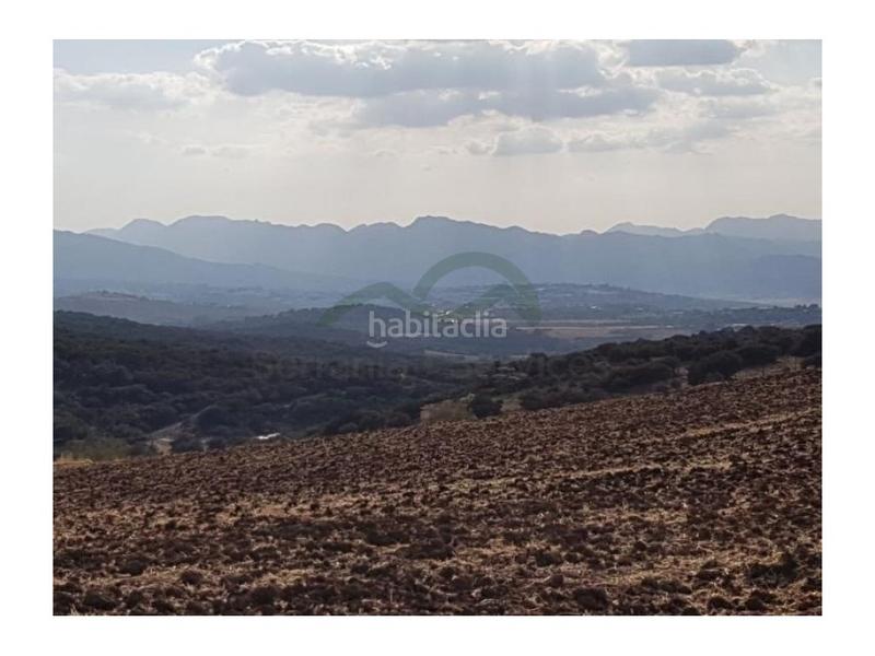 Foto 001c0d90-c198-46be-9397-e94c2d7416df. Country house in San Rafael Ronda