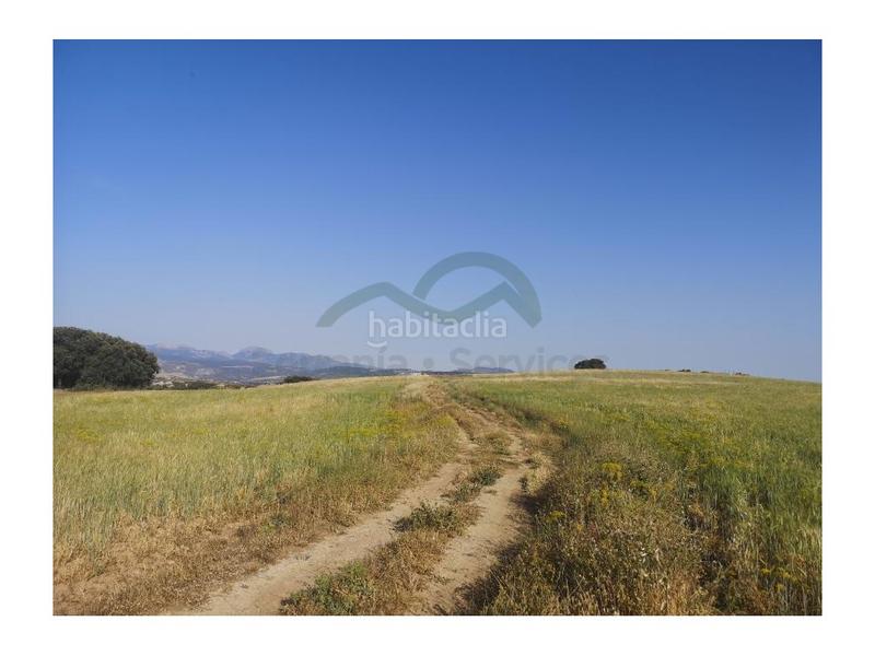 Foto 5a4a4d39-29db-4380-84ef-3ed9c88a5d98. Country house in San Rafael Ronda