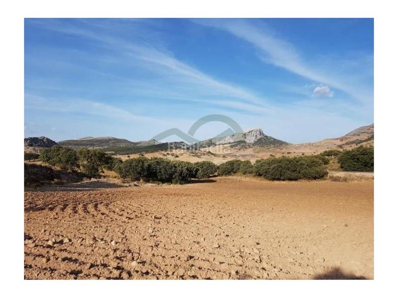 Foto 744f37e1-df6c-460b-b91b-014813f93954. Country house in San Rafael Ronda