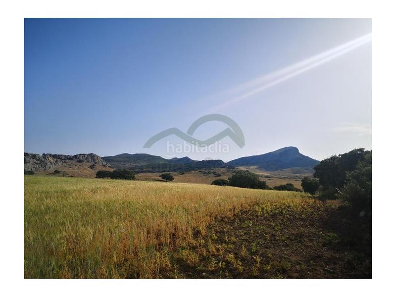 Foto dee644c0-dd18-4795-ba9e-62ec79520b75. Country house in San Rafael Ronda