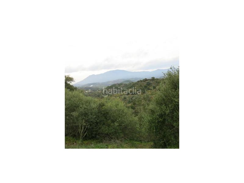 Foto 1bcc85bb-24f7-44e7-9daf-426f273fefcb. Masía finca para reformar, vistas al mar, marbella en Estepona