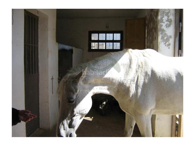 Foto 2c2aa02d-0286-414c-b20d-63467add7d8b. Bauernhof in Centro Ronda