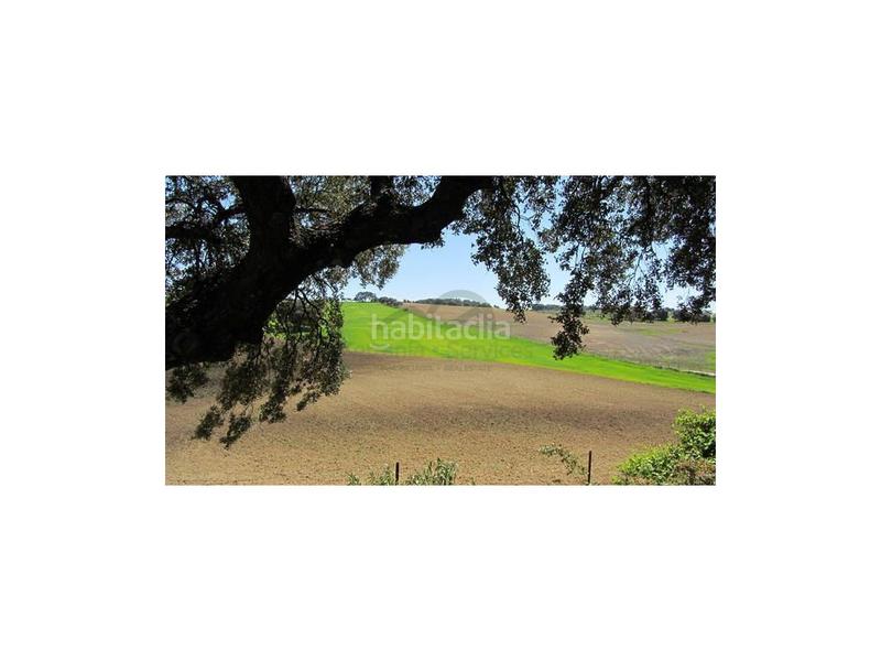 Foto 054c6824-bfd5-4df8-b094-deedce97d9b1. Mas dans Casco Histórico Ronda