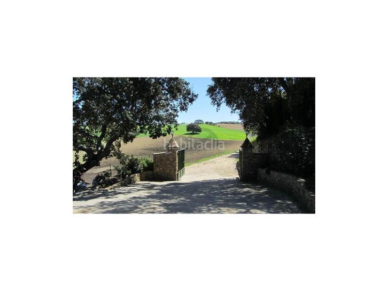 Foto 440032ca-0cdc-4dd0-95a5-8f17856458b3. Mas dans Casco Histórico Ronda