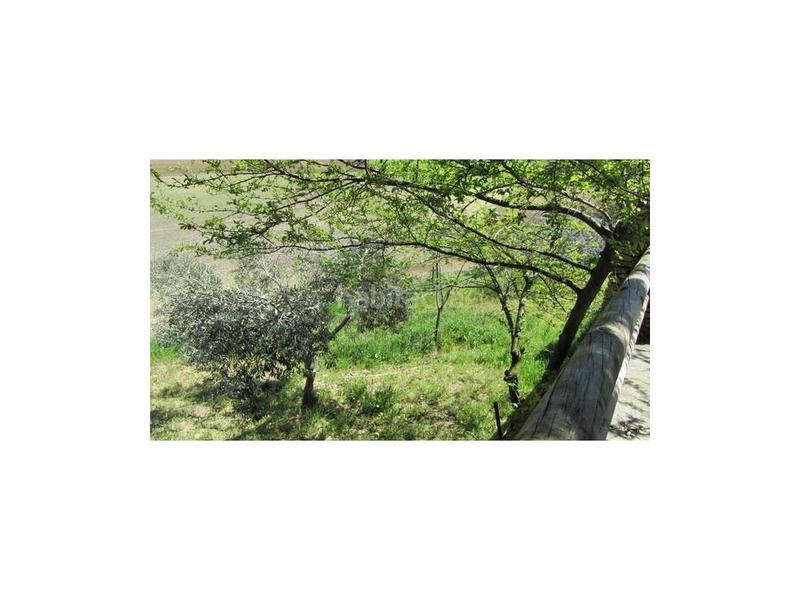 Foto d2ee0541-ca8e-42b2-9069-2a095214c491. Mas dans Casco Histórico Ronda