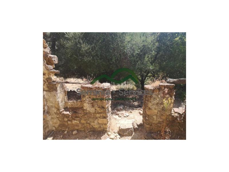 Foto 585c76f8-dca7-4b26-9beb-16509f0ad86f. Maison dans Algatocín