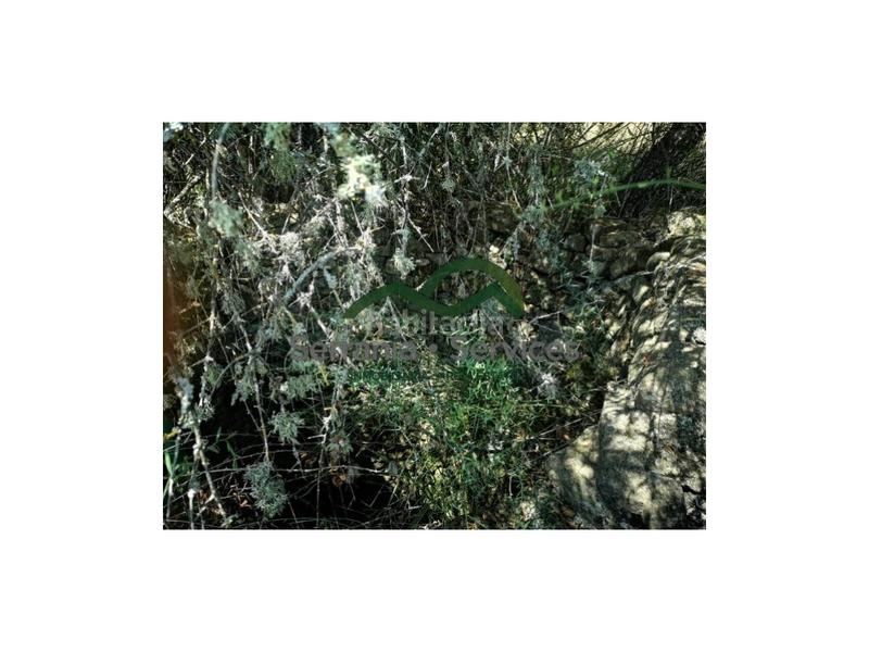 Foto 8a8c807a-3306-4910-8f87-cac0a88b9112. Maison dans Algatocín