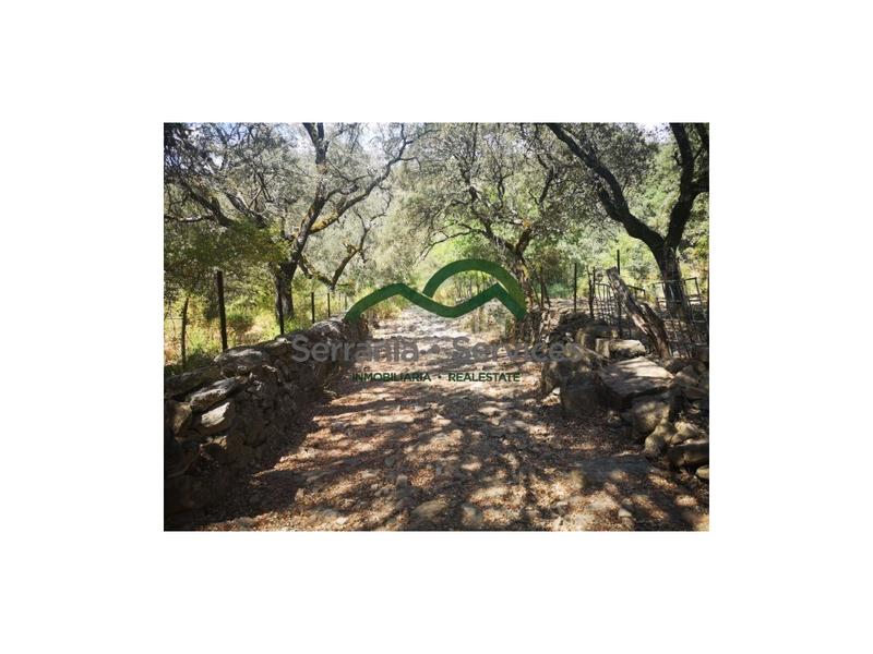 Foto 8c5e197f-4024-4e07-9991-dbfd1332fbe2. Maison dans Algatocín