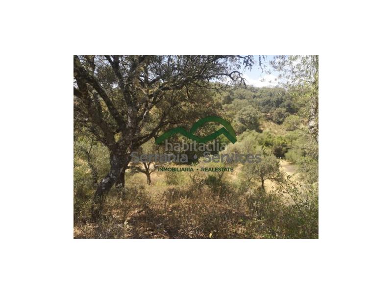 Foto a2a46fe2-6da9-4168-831d-4ac92049929d. Maison dans Algatocín